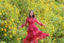 Săn mùa dã quỳ Chư Đăng Ya hành trình ngắm sắc vàng giữa cao nguyên Gia Lai