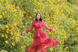 Săn mùa dã quỳ Chư Đăng Ya hành trình ngắm sắc vàng giữa cao nguyên Gia Lai