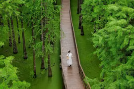 Hồ Thanh Sơn góc xanh bình yên khiến du khách say lòng ở Hàng Châu