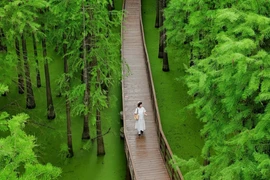 Hồ Thanh Sơn góc xanh bình yên khiến du khách say lòng ở Hàng Châu