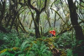 Sa Mu viên ngọc hoang sơ Tây Bắc thu hút du khách khám phá thiên nhiên