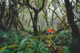 Sa Mu viên ngọc hoang sơ Tây Bắc thu hút du khách khám phá thiên nhiên