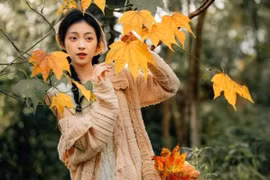 Check-in mùa lá đỏ, 5 điểm đến hấp dẫn tại Việt Nam