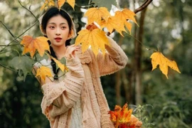 Check-in mùa lá đỏ, 5 điểm đến hấp dẫn tại Việt Nam