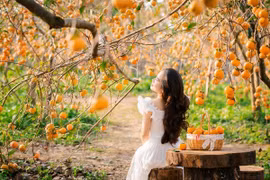 'Bỏ túi' kinh nghiệm đi Mộc Châu mùa thu dành cho ‘dân mê xê dịch’