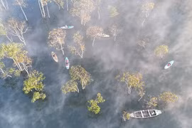 Suối Tía điểm dã ngoại hoang sơ khiến du khách mê mẩn