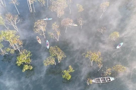 Suối Tía điểm dã ngoại hoang sơ khiến du khách mê mẩn