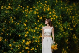 Check-in Đà Lạt mùa dã quỳ, đi tour nào để ngắm hoa đẹp nhất?