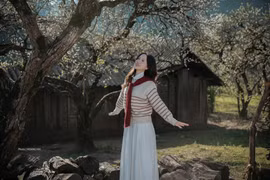 4 tọa độ ngắm hoa mận ở Mộc Châu, chỉ cần giơ máy là có ảnh đẹp