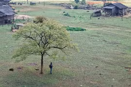 Bản Tà Phình Mộc Châu có gì hấp dẫn mà ai cũng muốn một lần ghé thăm?