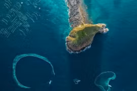 Đẹp nao lòng mùa lưới vây cá cơm ở Hòn Yến, đi ngay kẻo lỡ