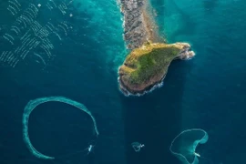 Đẹp nao lòng mùa lưới vây cá cơm ở Hòn Yến, đi ngay kẻo lỡ