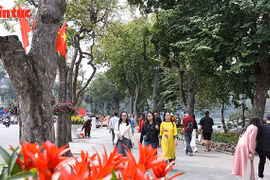 Ngày mùng 1 Tết Nguyên đán Bính Ngọ, Bắc Bộ mưa rét