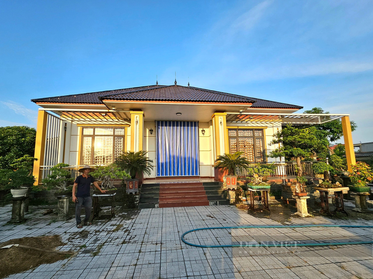 Trồng thứ cây cảnh đang hot, có cây cổ thụ, một nông dân Quảng Bình kiếm tiền tỷ, sắm xe hơi- Ảnh 5.