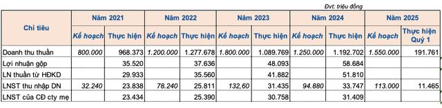 Một số chỉ tiêu kinh doanh giai đoạn 2021-2024 của Everland screen-shot-2025-07-06-at-165054.png