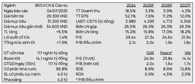 Dự báo của VCSC về GVR screen-shot-2025-07-06-at-100756.png