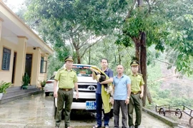 Chim Hồng hoàng quý hiếm bay lạc vào nhà dân ở Quảng Trị