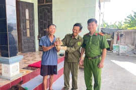 Người dân giao nộp cá thể cu li quý hiếm ở Quảng Bình