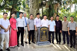 Hai cây trầm hương cổ thụ ở Hà Tĩnh được công nhận là “Cây di sản Việt Nam”