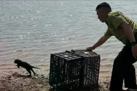 Người dân giao nộp rái cá quý hiếm để thả về tự nhiên