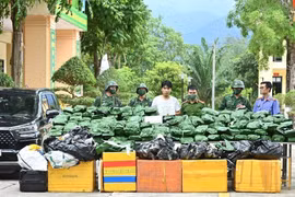 Triệt phá đường dây mua bán 240 kg cần sa khô ở Hà Tĩnh