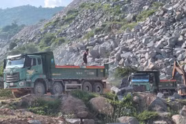 Khánh Hoà xử phạt nhiều đơn vị vi phạm trong lĩnh vực tài nguyên, môi trường