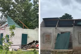 Hàng chục ngôi nhà ở Quảng Trị bị tốc mái, đổ sập do bão số 3 Wipha
