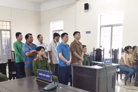 Làm giả con dấu, tài liệu, nhóm đối tượng lĩnh hơn 23 năm tù