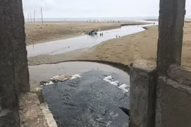 Nuôi tôm không có giấy phép, Công ty Đại Thành bị phạt 320 triệu đồng