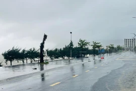 Bão số 5 chưa vào, Hà Tĩnh đã có mưa to, gió lớn