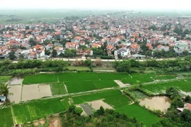 Phú Thọ đưa 33 lô đất lên sàn, khởi điểm 5 triệu đồng/m2