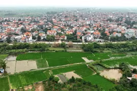 Phú Thọ đưa 33 lô đất lên sàn, khởi điểm 5 triệu đồng/m2