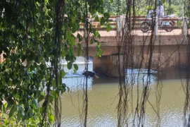 Phát hiện thi thể người đàn ông dưới chân cầu ở Bình Phước