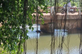 Phát hiện thi thể người đàn ông dưới chân cầu ở Bình Phước