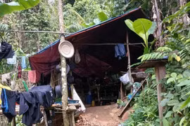 Phát hiện nhiều điểm khai thác vàng trái phép ở Quảng Trị