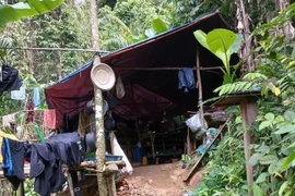 Phát hiện nhiều điểm khai thác vàng trái phép ở Quảng Trị