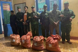 Bắt 2 đối tượng vận chuyển 160 kg thuốc nổ qua biên giới