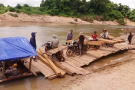 Bắt giữ nhóm đối tượng vận chuyển gỗ lậu ở Quảng Trị