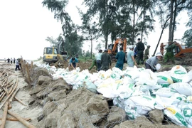 Chính phủ thành lập Ban Chỉ đạo tiền phương phòng, chống bão số 5 tại Nghệ An