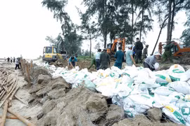 Chính phủ thành lập Ban Chỉ đạo tiền phương phòng, chống bão số 5 tại Nghệ An