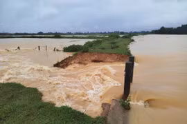 Mưa xối xả ở Hà Tĩnh, đê đập Hà bị vỡ