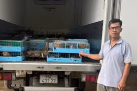 Khởi tố đối tượng buôn lậu động vật hoang dã ở Quảng Trị