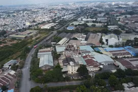 Không giấy phép môi trường, Công ty Thanh Thanh bị xử phạt