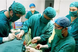 Mổ lấy cành cây dài 20cm đâm thấu phổi cụ bà ở Hà Tĩnh