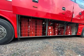 Bắt giữ vụ vận chuyển trái phép 676 con rắn hổ mang ở Quảng Trị