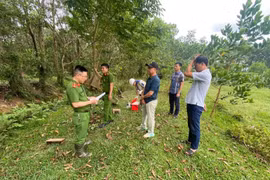 Vi phạm môi trường, 3 đơn vị bị xử phạt gần 150 triệu đồng