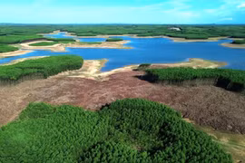 Vì sao dự án du lịch Hồ Ái Tử bị chấm dứt hoạt động?