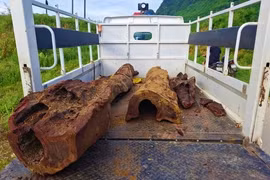 Đi bắt cá, người dân "mò" được gốc gỗ nghi sưa đỏ quý hiếm