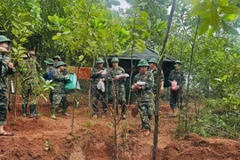 Tìm thấy 2 hài cốt liệt sĩ ở Quảng Trị