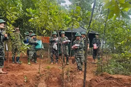 Tìm thấy 2 hài cốt liệt sĩ ở Quảng Trị